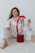 Воздушные шары №5153