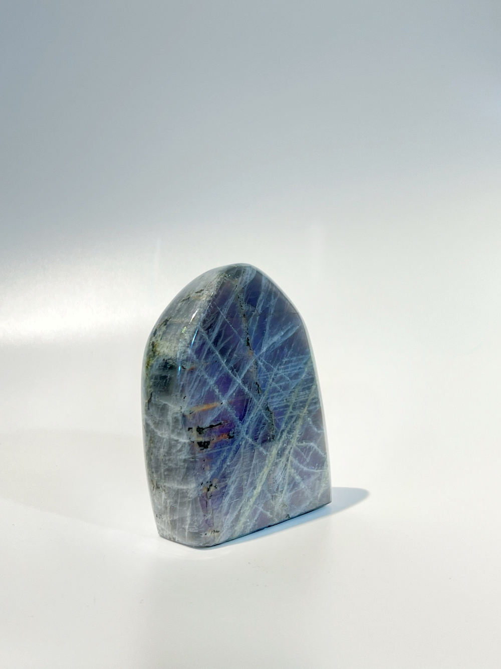 Срез Лабрадора M