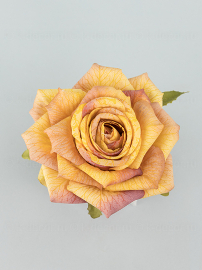 Голова розы Премиум