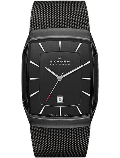 Наручные часы Skagen SKW6011