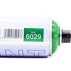 RAL 6029 зелёная мята акриловая краска аэрозольный баллончик Gamma Paint