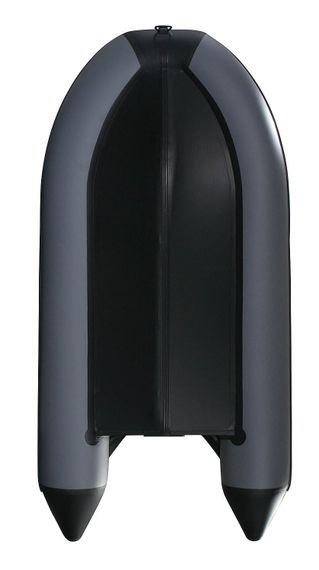 Лодка ПВХ PROFMARINE PM 370 CL