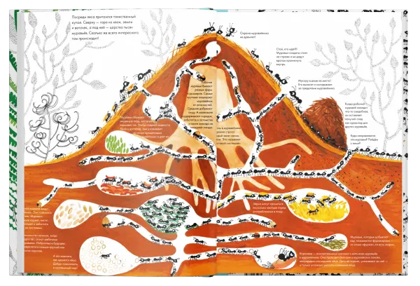 Тысяча и один муравей