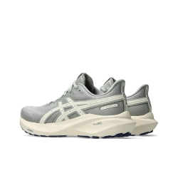 Мужские кроссовки ASICS GT-2000 13 ATC 'Grey Cream' 1011C026-020
