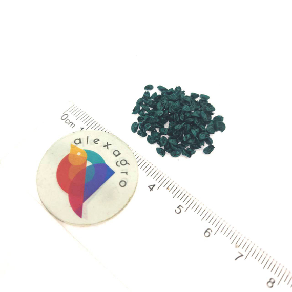 Байя Верде семена лука на перо – фото 8