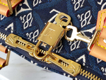 Louis Vuitton Speedy 25