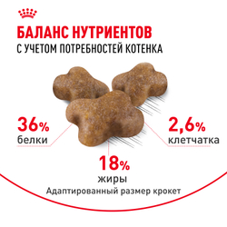 Royal Canin Kitten Корм сухой сбалансированный для котят в период второй фазы роста до 12 месяцев - 1,2 кг