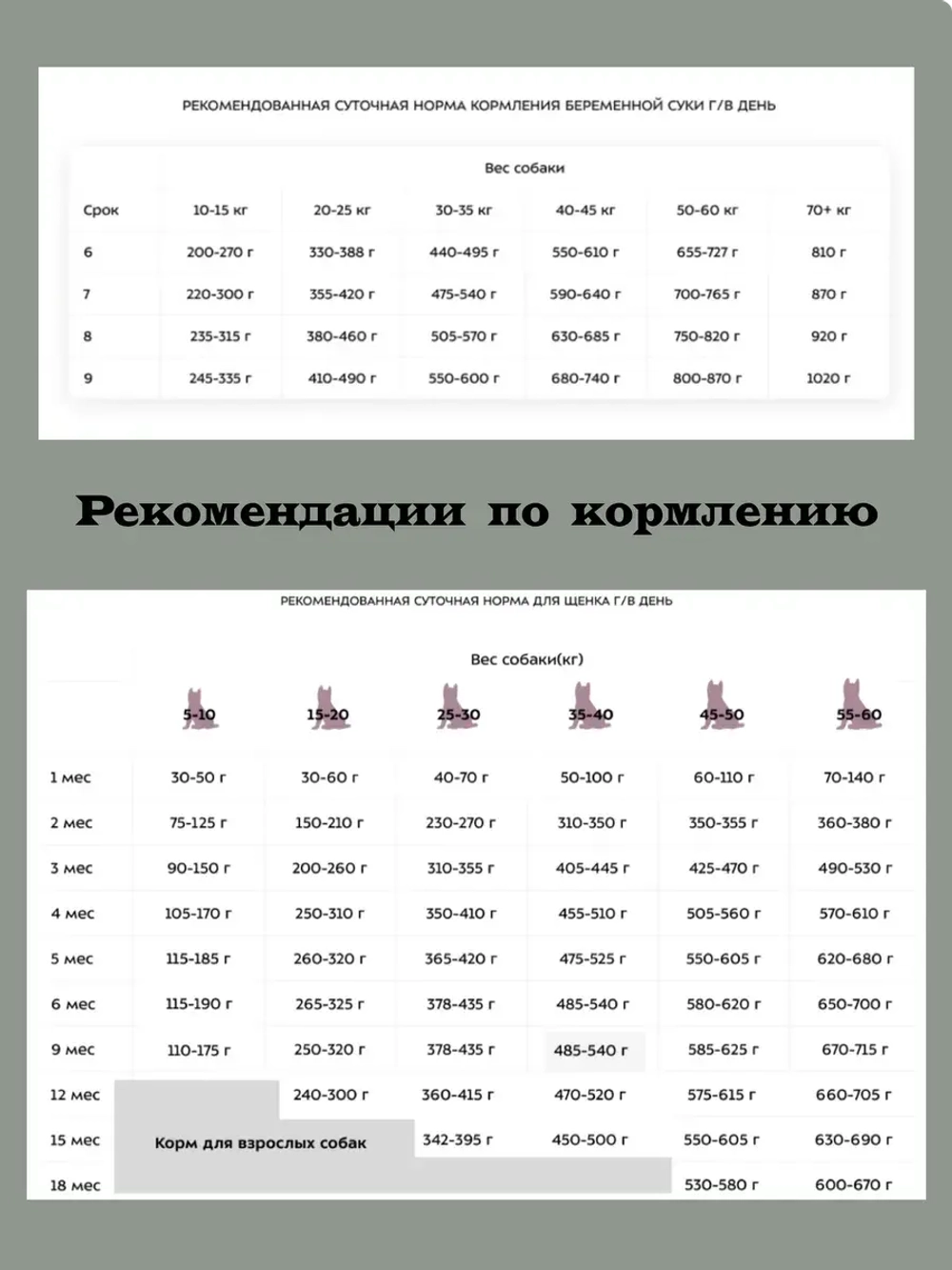 Сухой корм для взрослых собак мелких и миниатюрных пород. Ягненок и брокколи