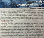 Арбуз Сибирский гигант 10 шт холодостойкий СМАРБ-33