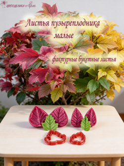 Листья пузыреплодника калинолистного малые