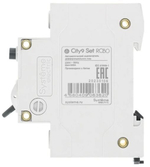 Автомат дифференциальный Systeme Electric C9D34620