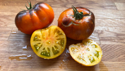 Мои лучшие семена томатов: сливки и бифы