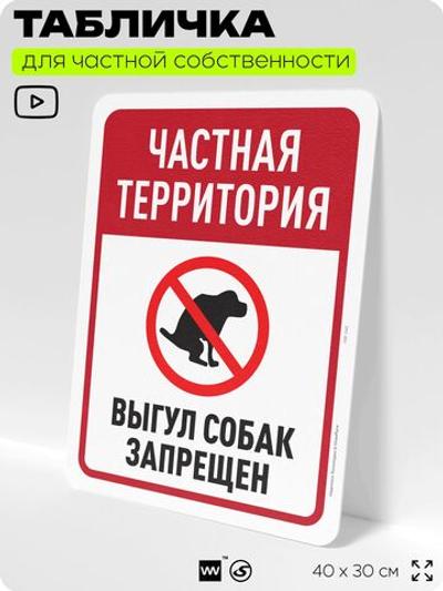 Табличка для частной территории "Частная территория, выгул собак запрещен", на дом, для участка, организаций, предупреждающая, 40х30 см, Silver Plane x Айдентика Технолоджи