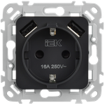 FLITE Розетка 1-местная с заземлением с защитными шторками 16А с USB A+A 3,1А безвинтовое крепление РСЮша11-1-ФлЧ черный IEK