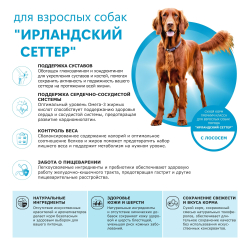 Корм сухой для взрослых собак породы Ирландский сеттер, премиум полнорационный комплекс, с лососем, 2,5 кг, QUATTRO
