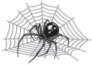 Наклейка "Паук №8" винил 16,5*23см  06110