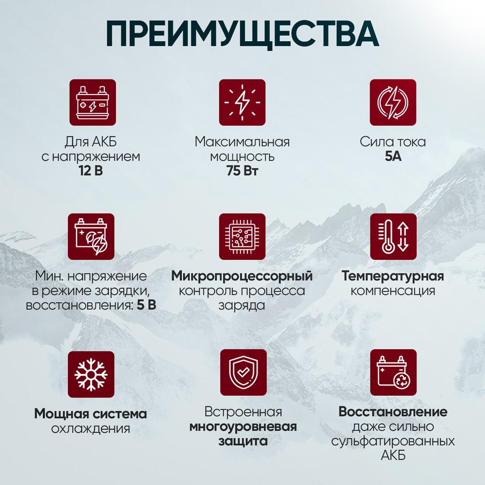 Импульсное зарядное устройство 12В с функцией восстановления iCartool IC-CH101