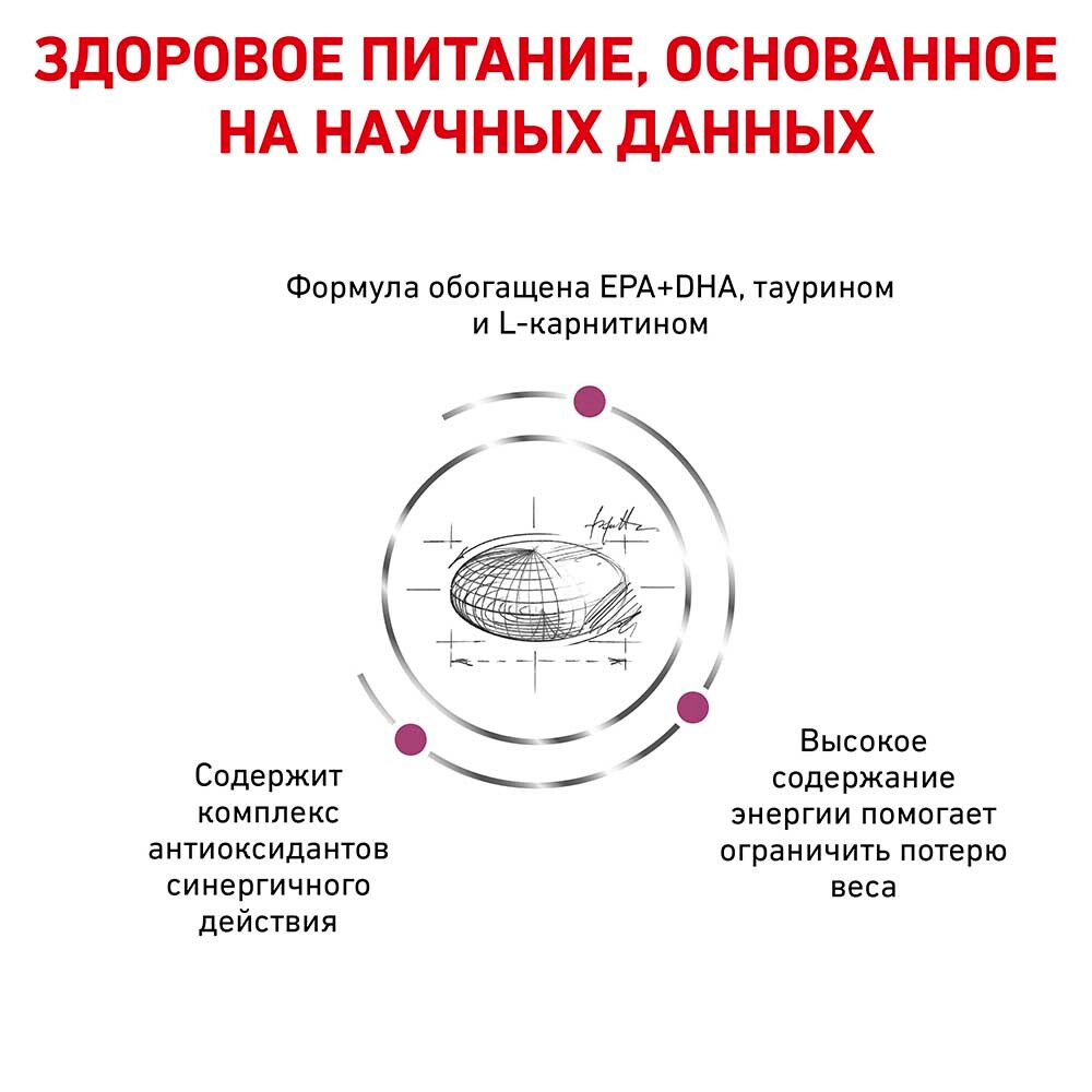 Royal Canin VET Cardiac EC26 - диета для собак с сердечной недостаточностью