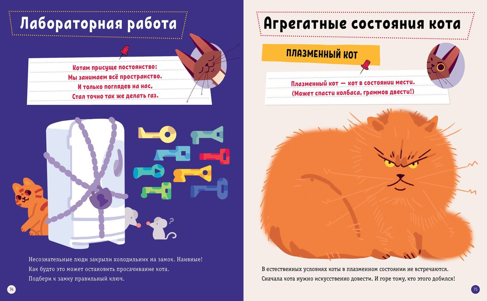 Котофизика