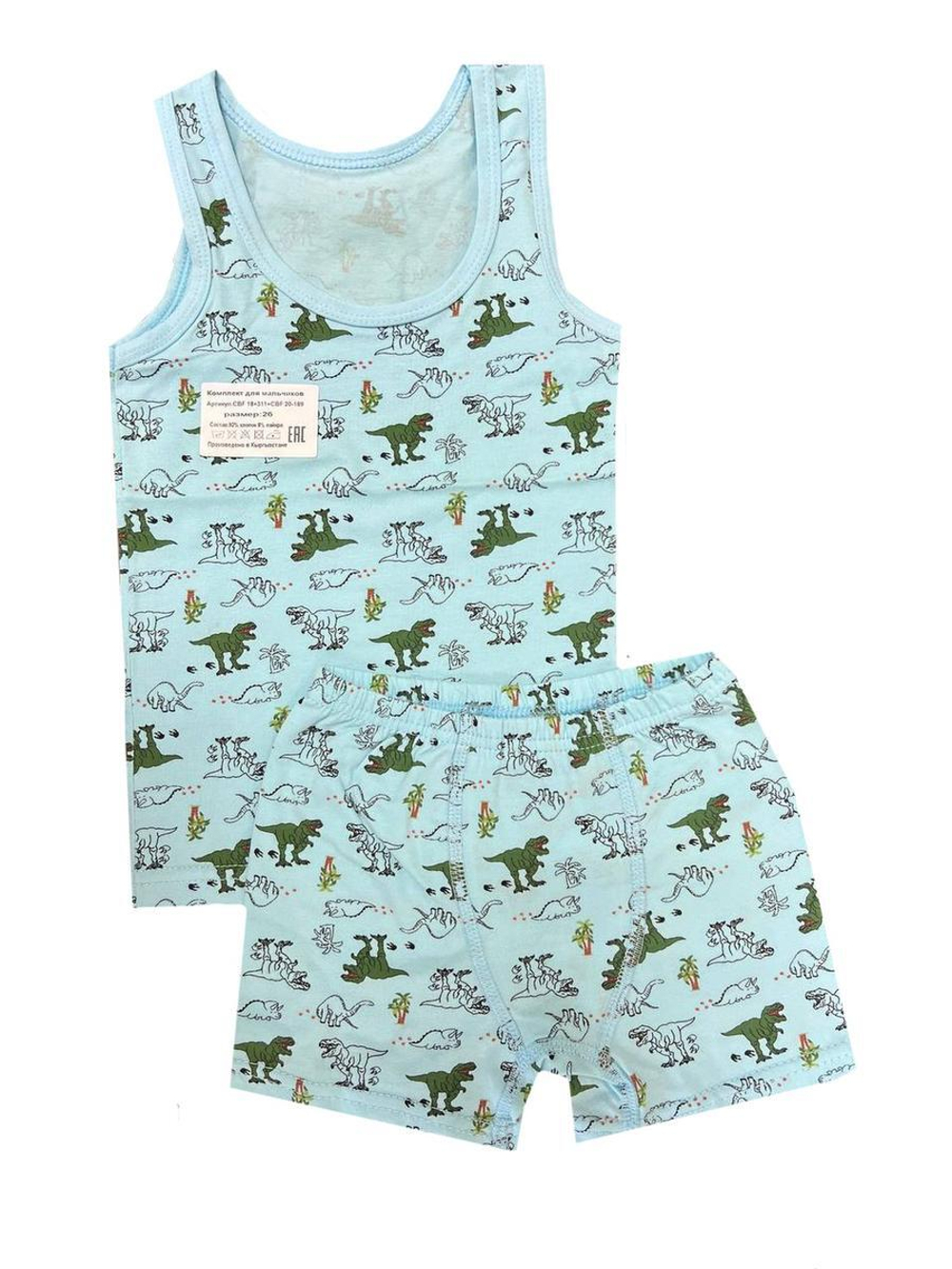 Комплект майка+ боксеры CBF 18-311/20-189м р.26 гол.динозавры (Boru), 1 шт.