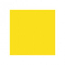 Салфетка бумажная Double Point двухслойная желтый, 39*39 см, 50 шт, Garcia de Pou