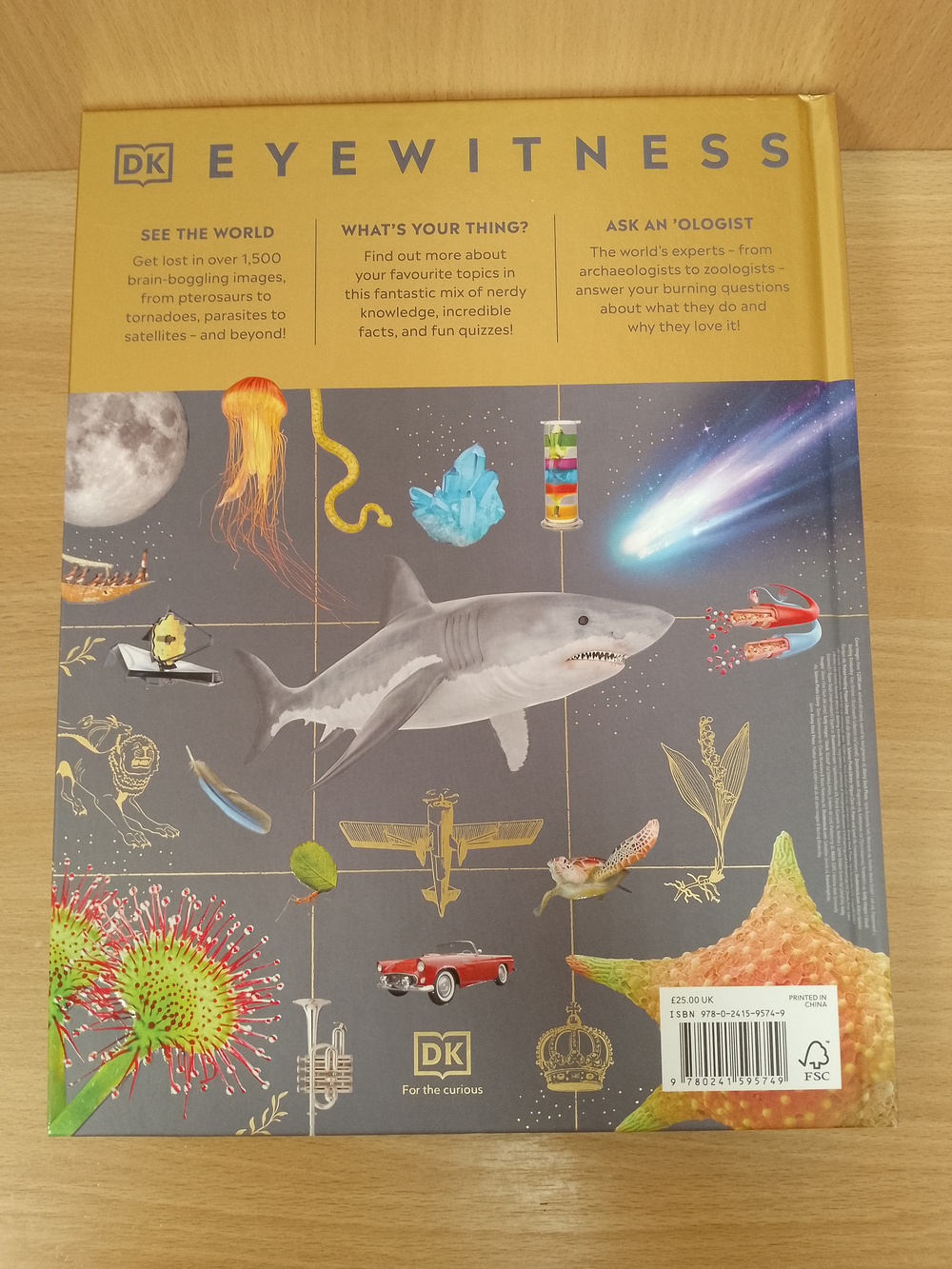 DK Eyewitness Encyclopedia of Everything The Ultimate Guide to the World Around You. Hardcover