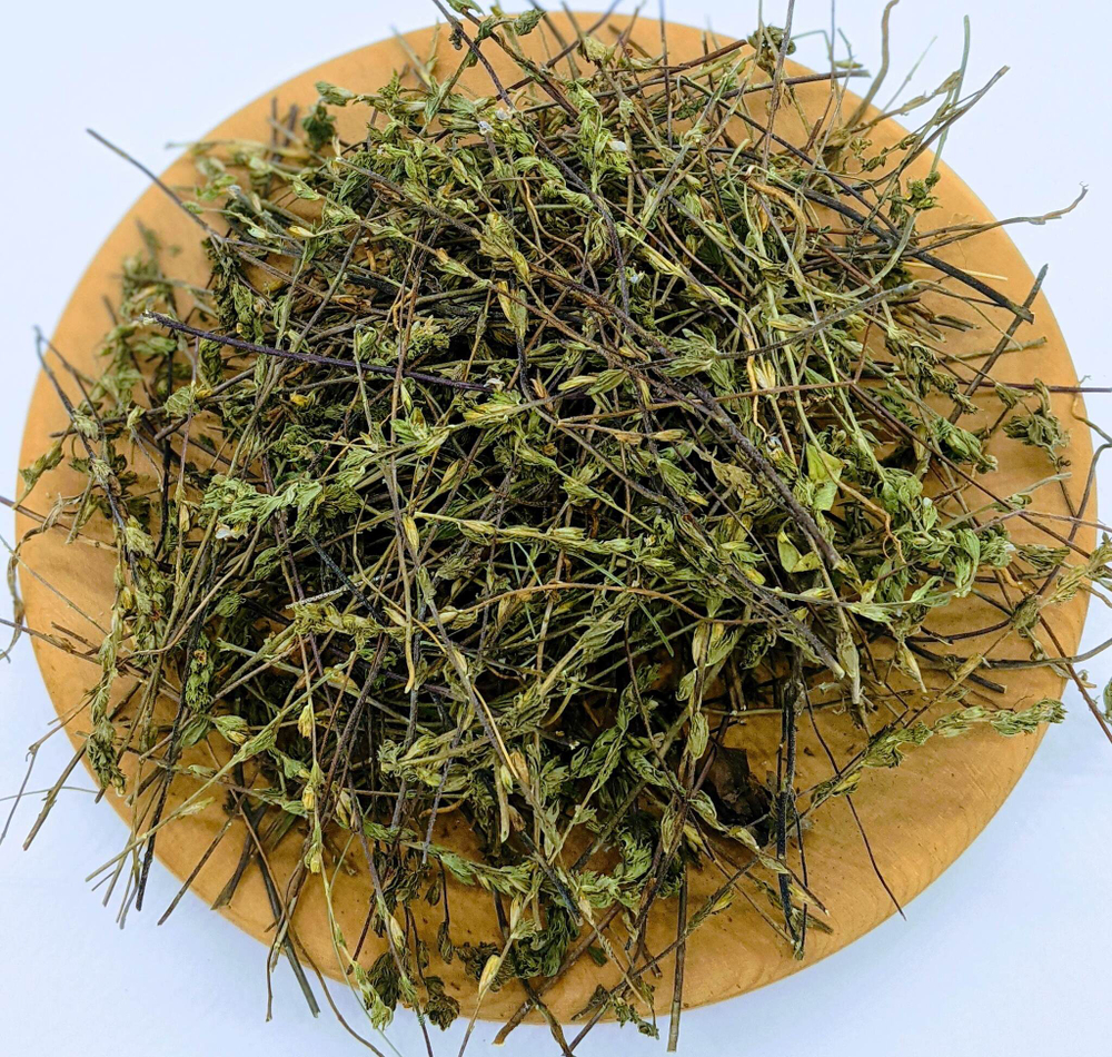 Очанка лекарственная