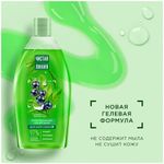 Гель для душа 750 мл, ЧИСТАЯ ЛИНИЯ "Смородина и ледниковая вода", на натуральной основе