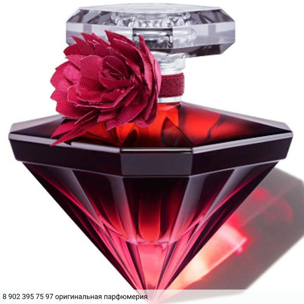La Nuit Tresor Intense