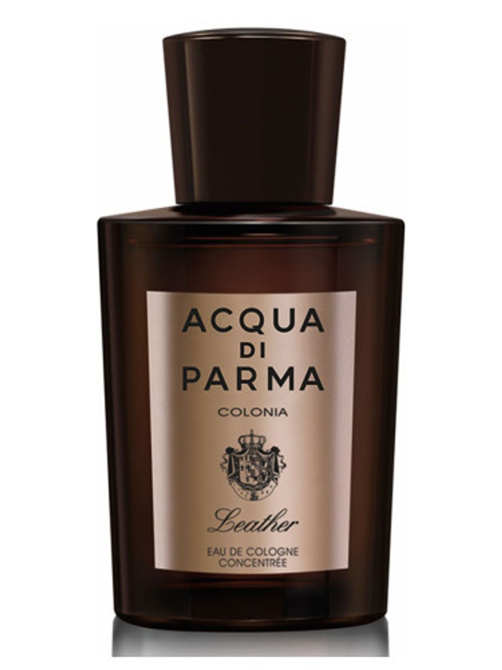 Acqua di Parma Colonia Leather Eau de Cologne Concentree