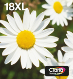 Картридж струйный Multi pack 1 шт Epson 18XL C13T18164511