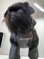 Толстовка с капюшоном с нанесением для собак мелких пород