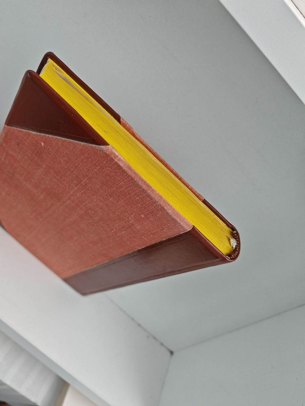 Физиология половой производительности, или Философская гигиена брака