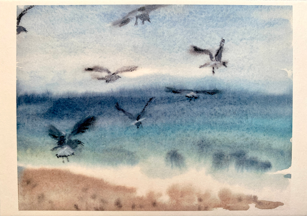 Открытка «Чайки на море»