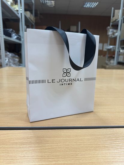 Пакет из мелованной бумаги с цветной печатью с ручками из репсовой ленты с логотипом заказчика 22х19х6 (в*ш*г)