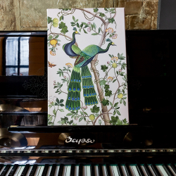 Картина Объект мечты Индокитайский зеленый павлин версия 1