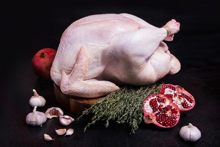 Индейка целая