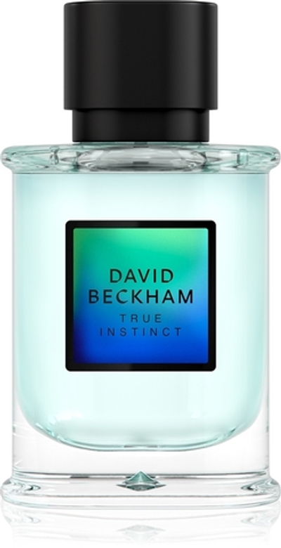 David Beckham True Instinct парфюмированная вода для мужчин