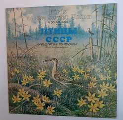 Птицы СССР Голоса птиц: Улиты, Бeкacы, Kpoншнeпы (Waders) (USSR 1982)