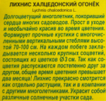 Лихнис Огонек СМЦ-542