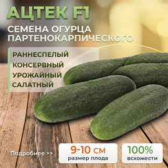 АЦТЕК F1 семена огурца (Bejo | Alexagro)
