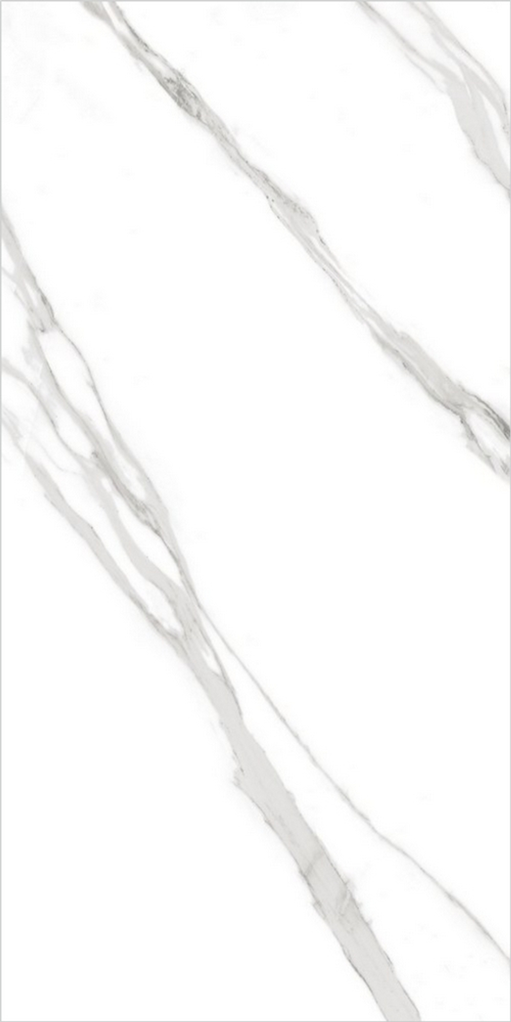 GT120606503PR Керамогранит Carrara Bronze Белый 60x120