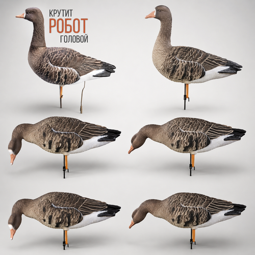 Белолобый гусь Duck Mania "ELITE ROBOT"