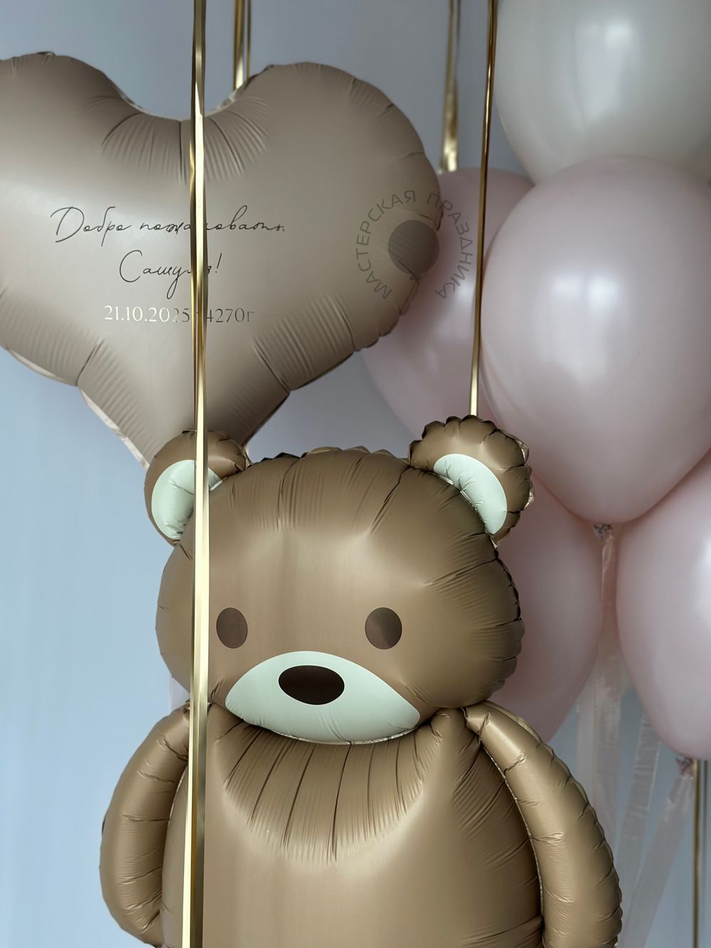 Воздушные шары на выписку для девочки №8682  Изображение4