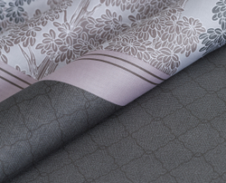 Постельное белье СайлиД BN-006 сатин