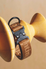 Ошейник "Пони-Компаньони" Рыжий