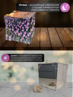 Куб с тюльпанами