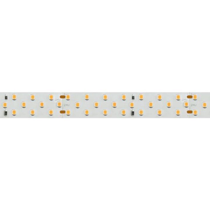 Светодиодная лента Arlight 27W/m 252LED/m 2835SMD дневной белый 5M 025154(2)
