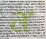 Целозия греб. Высокая смесь 0,1 г СМЦ-330
