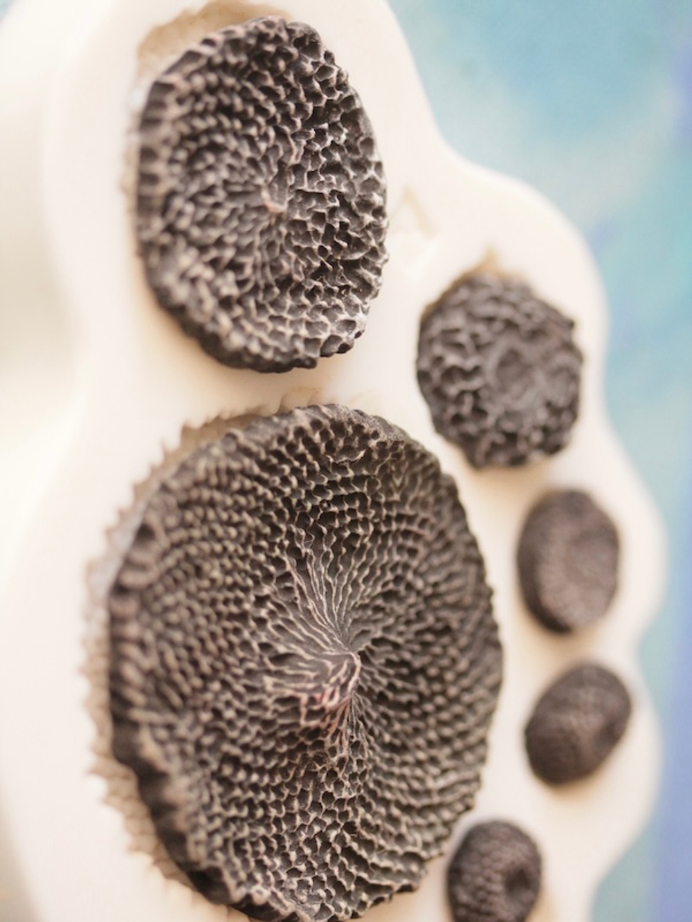 Молд классический для лепки серединок разных цветков